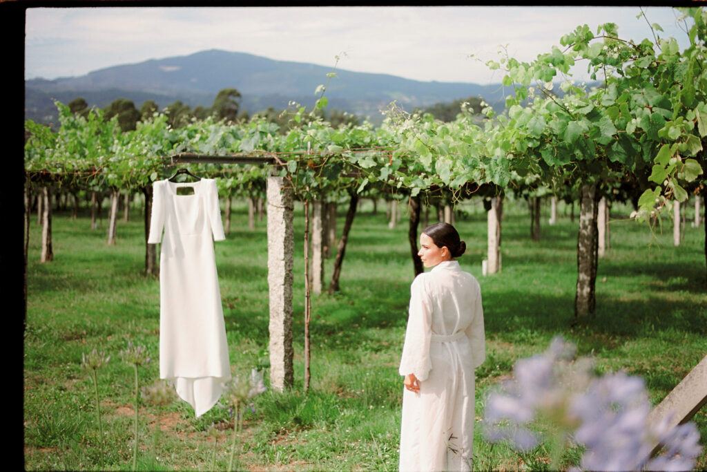 The vineyard outside Pazo Señorans